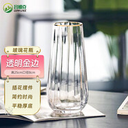 呂姆克花瓶玻璃輕奢擺件水養(yǎng)富貴竹客廳清新透明金邊款花瓶高25cm7626