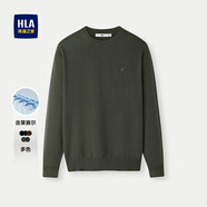 海瀾之家（HLA）針織衫男25新款圖案刺繡保暖圓領休閑毛衣男秋季 綠灰55 3XL 190/104A 推薦181~196斤