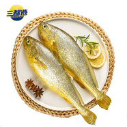 三都港 鮮凍原條黃花魚凈重2斤/2條 寧德大黃魚 海魚 生鮮 燒烤