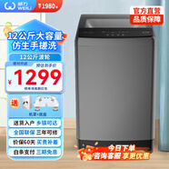 威力12公斤 波輪洗衣機全自動 大容量家用仿生手搓 防銹箱體 XQB120-2329C