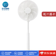 雙鳥(niǎo)（TWINBIRD）【日本直郵】家用電風(fēng)扇 空氣風(fēng)扇多功能落地扇 舒適自然風(fēng) 臥室客廳【需變壓器】 EF-E952W【白色 需變壓器】