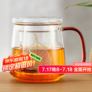 雅集透明玻璃杯一葉菩提男女士辦公家用耐熱玻璃泡茶茶水分離杯500ml