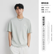 影視颶風(fēng)t恤冰絲涼感短袖t恤男夏季2025新款半袖體恤衫寬松顯瘦上 淺綠色 L