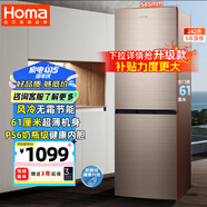 奧馬（Homa）242升風(fēng)冷無霜大容量雙開門小型電冰箱 兩門二門節(jié)能 小戶型家用租房辦公 家電國家補(bǔ)貼242WH