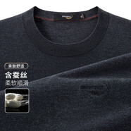 鱷魚(yú)恤含蠶絲男士長(cháng)袖t恤2025夏季薄款圓領(lǐng)寬松大碼商務(wù)休閑打底 中灰 (95) L (50)
