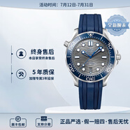 歐米茄（OMEGA） 瑞表海馬系列天文認(rèn)證機(jī)械300米潛水男表42mm 橡膠帶灰盤210.32.42.20.06.001