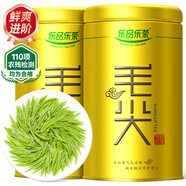 樂品樂茶特級毛尖綠茶2025新茶明前特級春茶嫩芽冷泡茶葉解暑250g送禮品袋