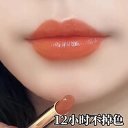 蘭奕熱賣(mài)防水汗不掉色不沾杯滋潤肉桂奶茶凍檸紅茶色口紅正品素顏顯白 M05#胡蘿卜色 【暢銷(xiāo)】 日常顯白