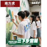 南方虎（NANFANGHU）帝夢(mèng)思三下鄉(xiāng)隊(duì)服千百萬(wàn)工程志愿者文化衫工作服鄉(xiāng)村振興 三下鄉(xiāng) 千百萬(wàn)工程 志愿服定制 均碼 duan袖