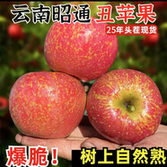 正宗昭通原產(chǎn)地冰糖級丑蘋果2025新果子現(xiàn)摘現(xiàn)發(fā)壞果包賠 5斤大果80-85克彩箱裝12個以內(nèi)