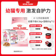 皇家幼貓 干濕搭配   K36 4.5KG+ KJP 85G*12