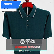 海瀾新潮國(guó)際一線品牌品牌桑蠶絲短袖T恤男中年夏季翻領(lǐng)半袖大碼 短袖3056綠色 XL 175建議140-155斤