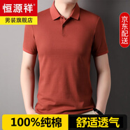 恒源祥夏季男士高端t恤純棉短袖100%棉白色高檔次半袖polo.衫休閑體恤男 24805磚紅 不開(kāi)叉 XL 175 推薦135-150斤