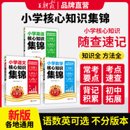 【現(xiàn)貨速發(fā)】王朝霞小學核心知識集錦語文數(shù)學英語基礎知識大盤點一二三四五六年級小學知識大全考試總復習小升初銜接工具書 語文+數(shù)學+英語-3本