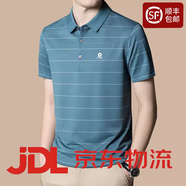 夢(mèng)特嬌短袖T恤男100桑蠶絲夏季2024新款中年爸爸裝商務(wù)休閑翻領(lǐng)polo衫 湖蘭 m9703 均碼 165/84A