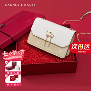 CAKNLS&KALRY輕奢包包女款2025年單肩包斜挎女包七夕情人節生日禮物送女友老婆 香檳色-包包女款2025年