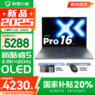 聯(lián)想小新16/小新Pro16可選 AIGC超能本 2025補貼 大屏輕薄筆記本電腦 商務(wù)辦公設(shè)計游戲本 標(biāo)壓酷睿版 Pro16｜二代Core5 24G 1TB國家補貼 16英寸 微邊框高清全面屏