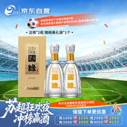 今世緣 國緣淡雅 幽雅醇厚型白酒 42度 500ml*2瓶  婚宴喜酒送禮