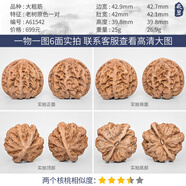 胖東來(lái)品質(zhì)核桃盤(pán)玩文玩一物一圖精品大粗筋蛤蟆頭南瓜墩四座樓南 A61542 老樹(shù)原色大粗筋43mm