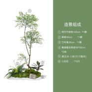 仿真綠植假植物微景觀造景室內(nèi)櫥窗玄關(guān)隔斷陽(yáng)臺(tái)樓梯角落軟裝擺件 南天竹綠色款造景送花泥2塊店主