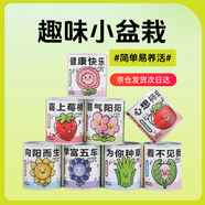 雙盟神奇種植罐頭教師節(jié)網(wǎng)紅同款盆栽兒童綠植創(chuàng)意植物送老師感恩盆栽