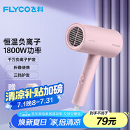飛科（FLYCO）負(fù)離子電吹風(fēng)機(jī)家用速干便攜大風(fēng)力冷熱風(fēng)吹風(fēng)筒FH6278