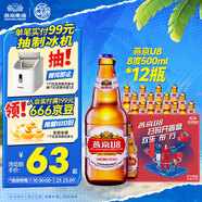 燕京啤酒 U8小度酒500ml*12瓶  新老包裝交替發(fā) 冰爽暢飲 整箱裝
