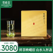 竹葉青綠茶論道 峨眉山特級(jí)160g 2025新茶明前茶 現(xiàn)貨源頭直發(fā)
