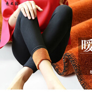 范哲莎春秋季韓版女裝外穿加絨打底褲修身顯瘦內搭小腳鉛筆長(cháng)褲 皮標款 加絨 M