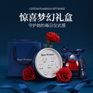匆匆那年（Congcongnanian）一周耳釘女999純銀生日情人節(jié)禮物女生禮盒耳飾耳環(huán)2025年新款潮 足銀白金·+夢(mèng)幻禮盒