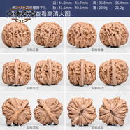 百年老樹(shù)果乾隆爺同款四座樓精品文玩核桃獅子頭一物一圖矮樁悶尖 A71847 老樹(shù)原色四座樓獅子頭44mm