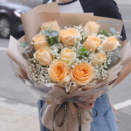 葉花娃香檳鮮花速遞小時(shí)達33朵玫瑰花束生日禮物送女友同城配送當日達 【誠摯愛(ài)戀】11朵香檳玫瑰+滿(mǎn)天星