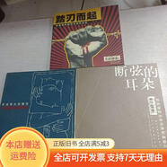 [二手95新]穿過(guò)骨頭撫摸你：歐美唯美另類(lèi)經(jīng)典歌曲集I、斷弦的耳朵：歐美唯