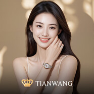 天王（TIAN WANG）手表女 生日禮物昆侖系列鋼帶機械女表LS5876TP.D.TP.W