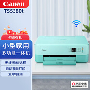 佳能（Canon） TS5380t打印機(jī)家用小型手機(jī)彩色照片噴墨無(wú)線復(fù)印掃描智能一體機(jī)辦公學(xué)生雙面 綠5380套餐3【8瓶墨+140張相紙+塑封機(jī)