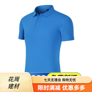 源于衣工作服定制工衣工裝Polo翻領(lǐng)T恤定做logo冰絲無(wú)痕刺繡夏季文化衫 湖藍色 均碼 S