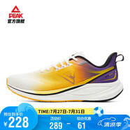 匹克態(tài)極騁風(fēng)1.0跑步鞋男鞋輕便減震透氣中考體測運動(dòng)鞋子男DH410037