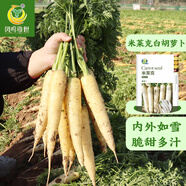 鳳鳴雅世胡蘿卜種子種籽孑子紅水果蘿卜羅卜的紫黑菜種籽紫色黃胡羅卜種子 米萊克白色胡蘿卜種子10克