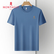 夢特嬌（MONTAGUT）含桑蠶絲短袖t恤男士2025新款夏季圓領(lǐng)純色體恤寬松休閑半袖上衣 天藍(lán)色 3XL