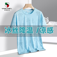 西域駱駝（VANCAMEL）t恤男短袖衣服運動服飾籃球體恤夏季2025冰絲速干跑步男士健身裝 淺藍色 XL