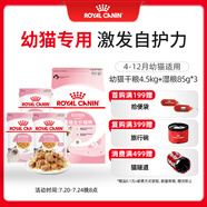 皇家貓糧?幼貓貓糧?干濕搭配?K36 4.5kg+啫喱肉凍KJP 85G*3