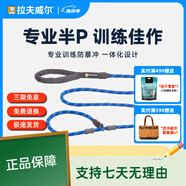 拉夫威爾佳斯特p繩狗狗牽引繩p鏈中型犬ruffwear牽狗繩金毛牽引繩 墨池藍(lán)