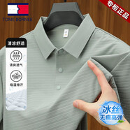 TOME BORNEK高檔男士短袖t恤2025夏季新款休閑翻領(lǐng)半袖體恤冰絲速干polo.衫男 短袖98303淺綠 XL 推薦【130-155斤】