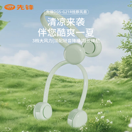 先鋒先鋒掛脖風(fēng)扇DGS-G21R