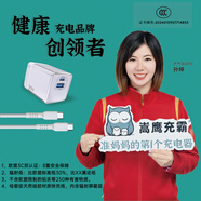 嵩鷹充霸小冰墩30W低溫健康快充國家3c認證適用蘋果iPhone16p華為榮耀小米三星vivo/oppo手機充電器 冰感白低輻射快充安全插頭
