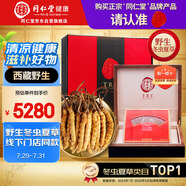 同仁堂品牌西藏野生冬蟲夏草約4根/g10g約40根蟲草滋補(bǔ)品送老丈人的禮物