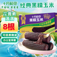 十月稻田 黑糯玉米1.76kg（220g*8根）東北紫玉米 花青素 雜糧禮盒