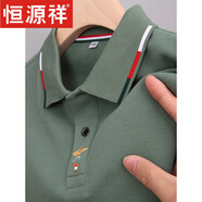 恒源祥高端純棉長(zhǎng)袖t恤男士翻領(lǐng)商務(wù)體恤外穿春秋季款中年帶刺繡POLO衫 77169綠色(長(zhǎng)袖) XL 175