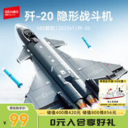 森寶積木軍事拼裝殲擊戰(zhàn)斗機玩具模型男孩生日禮物 殲20隱形戰(zhàn)斗機202241