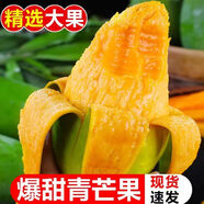 司道和山正宗大青芒芒果金煌芒新鮮水果青皮當(dāng)季整箱貴妃大芒果大果一整箱 【優(yōu)選果】單果150-300g 凈重3斤